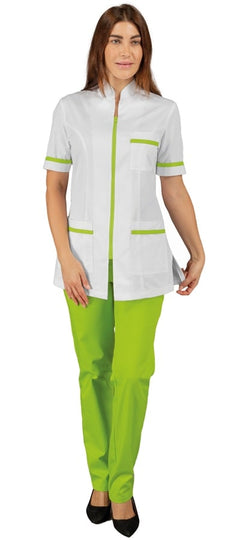 Florida + Elastico