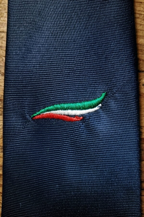 Cravatta Futuro Nazionale