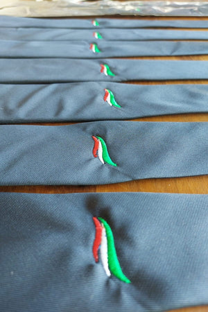 Cravatta Futuro Nazionale