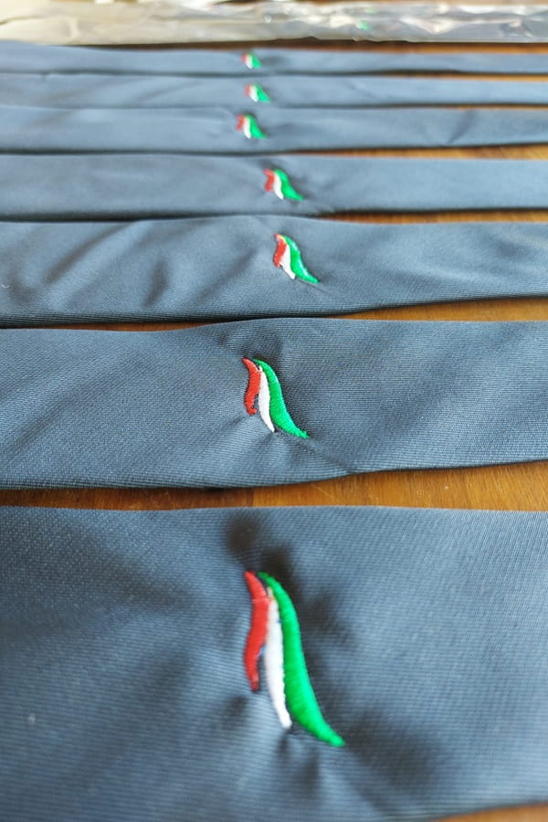 Cravatta Futuro Nazionale