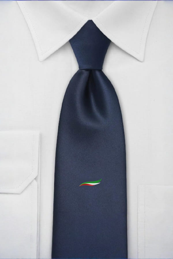 Cravatta Futuro Nazionale