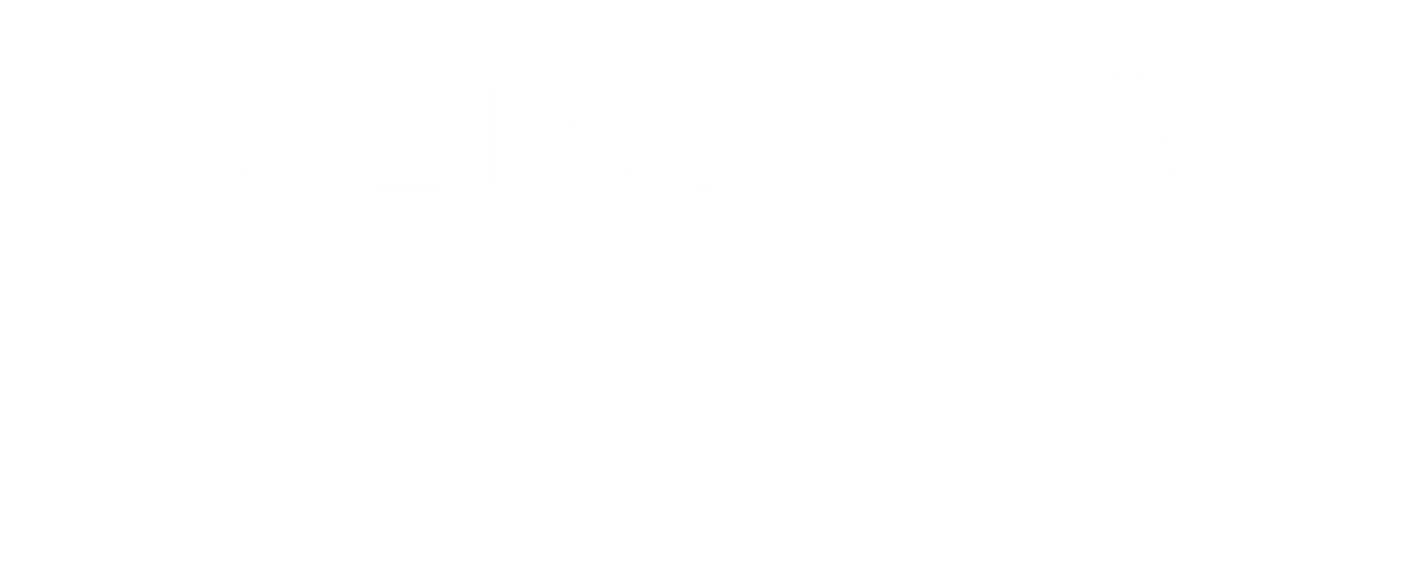 Titolo Logo Italiadivise Homepage grande