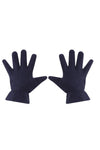 Guanti di Pile blu