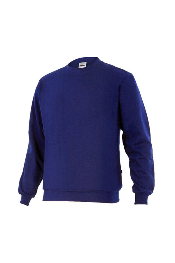 Felpa Colorata a Girocollo bluette